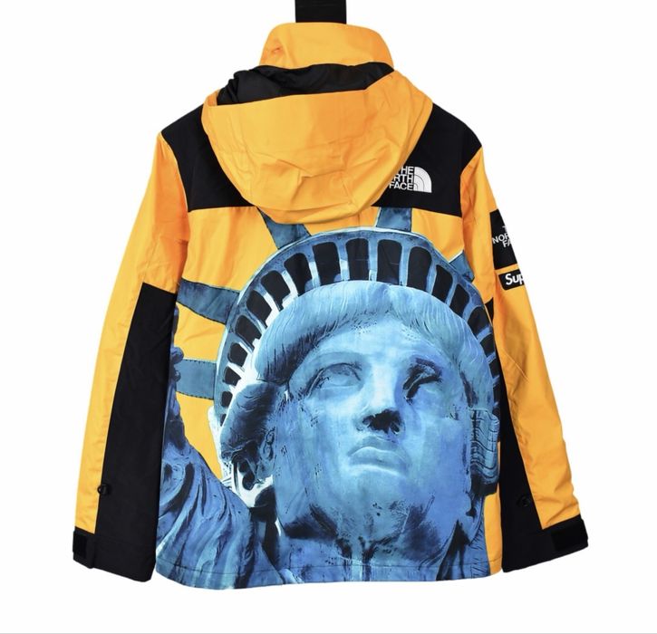 Supreme x The North Face Mountain jacket