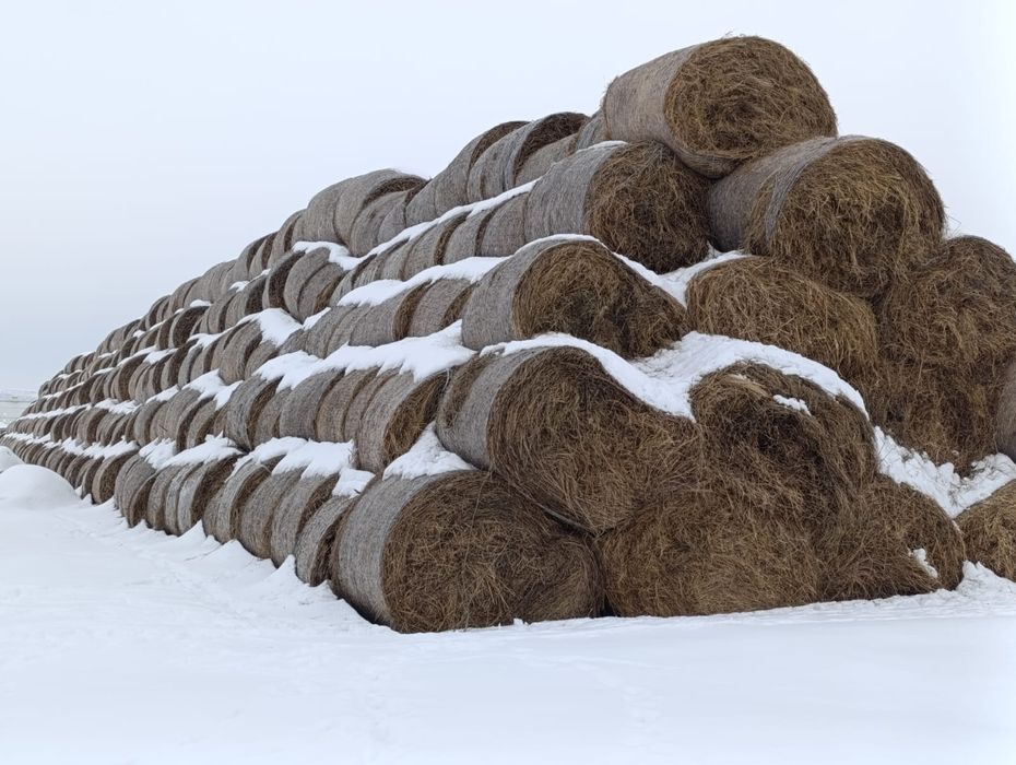 Сено, солома, люцерно