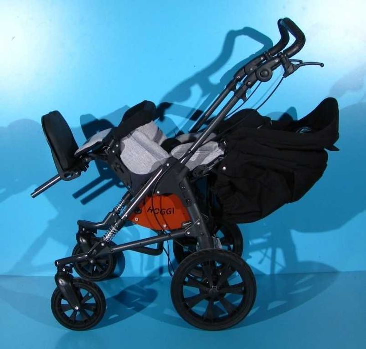 Carucior pentru copii cu dizabilitati Hoggi Bingo Evolution