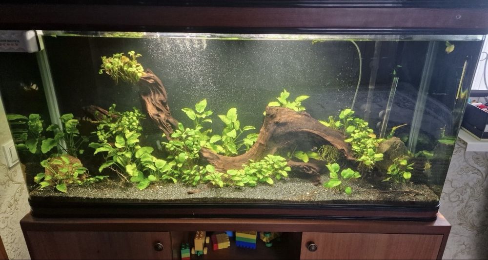 Аквариум для рыб