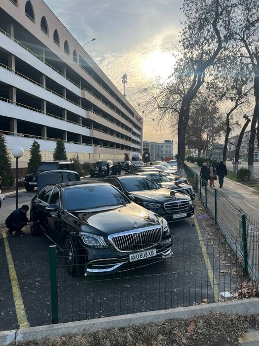 To’y kartej premium