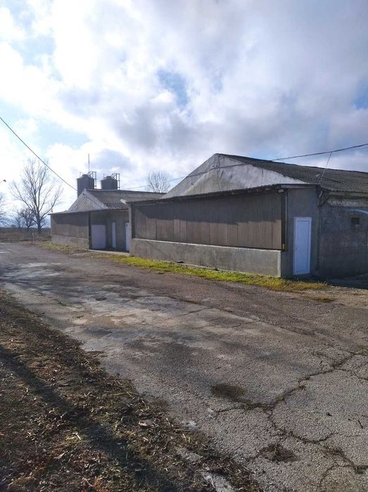 Собственик продава функционираща ферма за отглеждане на 40000 бройлери