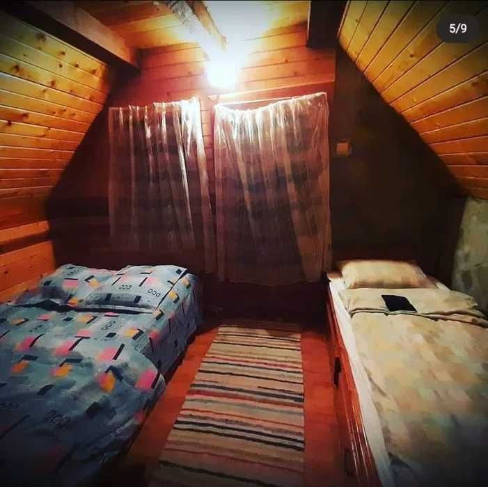 Cabană Munte / Cabana 5Frați / Rustic / Comandău / Covasna / Brașov