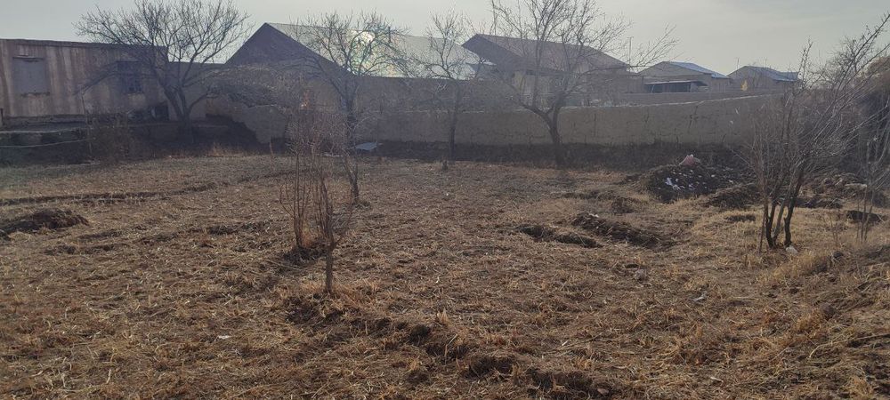 Хива тумани дашяк махалласи. Олдинги бустон