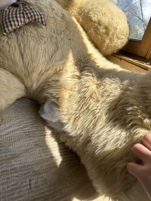 Большой плюшевый медведь