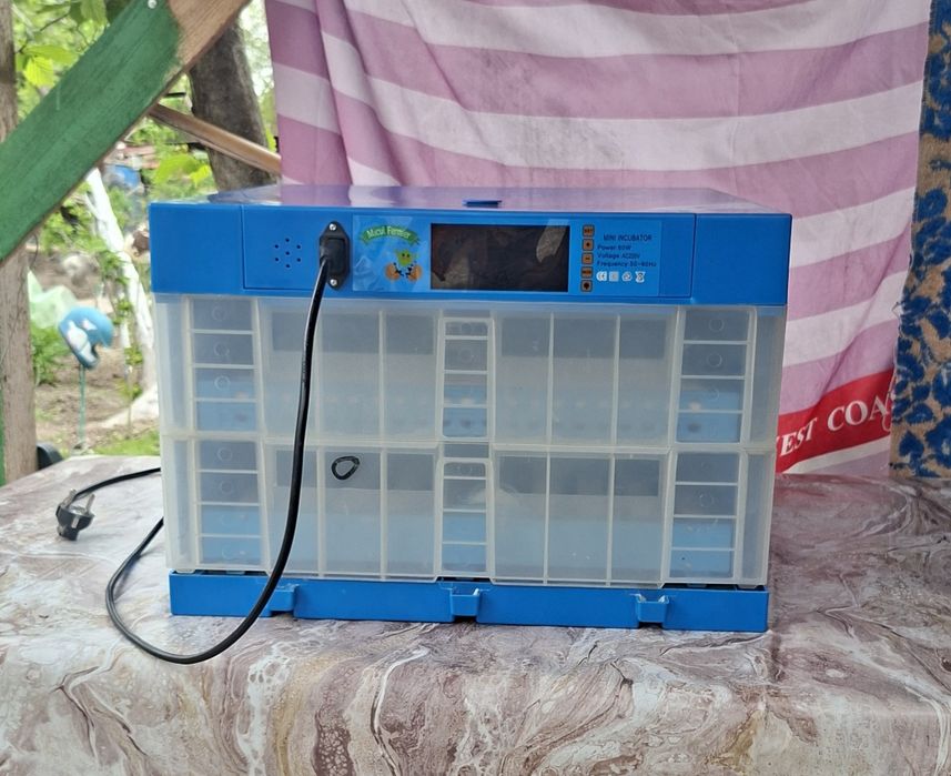 Clocitoare Micul Fermier