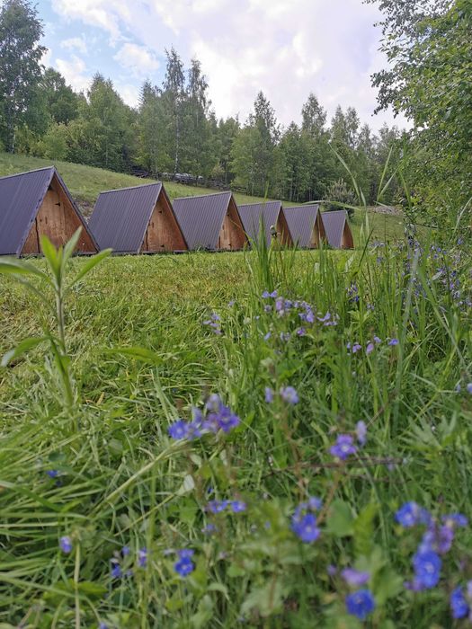 Domeniu turistic 6,2ha Horea fără vecini, funcțional, utilaje incluse