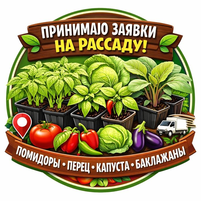 Принимаются заявки на рассаду