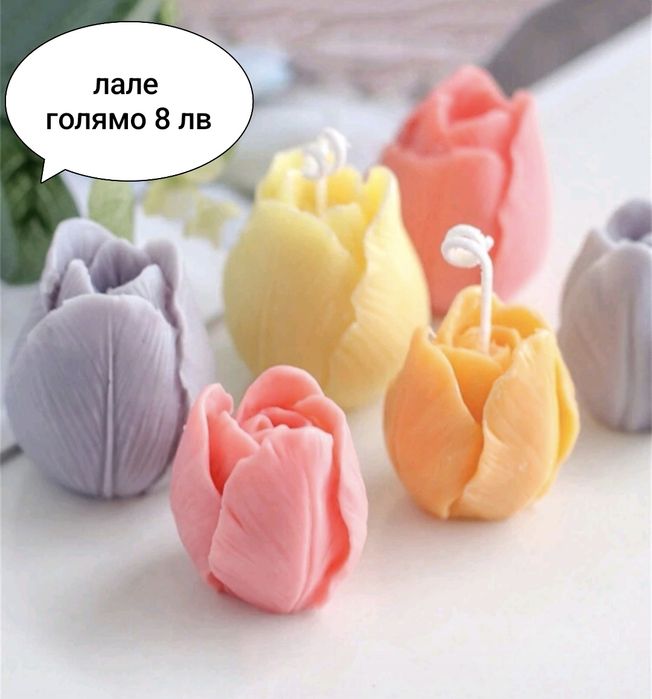 Нови модели молд