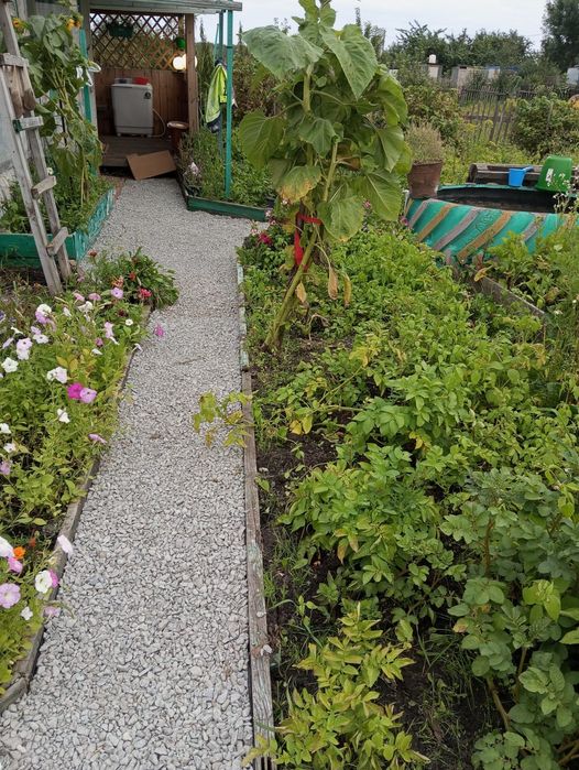 Срочно!!!Продам дачу в новопавловке