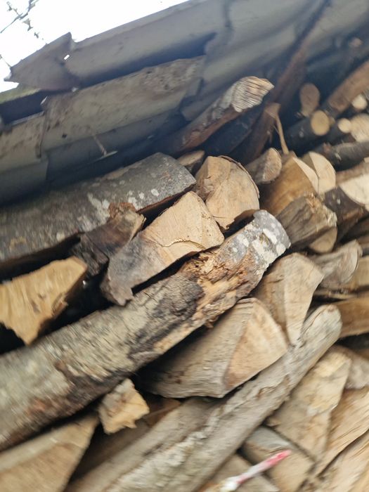 Lemne de foc fag uscat