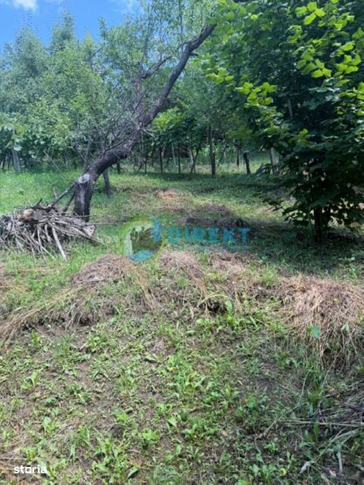 Teren intravilan ,la 2 km de centrul orasului .
