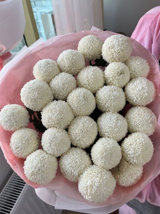 Помпон хризантема 27шт свежие вчера получила