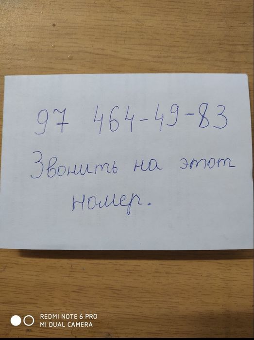 Продаются большие офисные цветы.