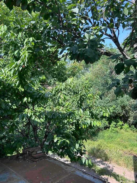 Продава се Къща в с. Конуш, Област Пловдив - 120 кв.м за 667 €/кв.м - Снимка #4