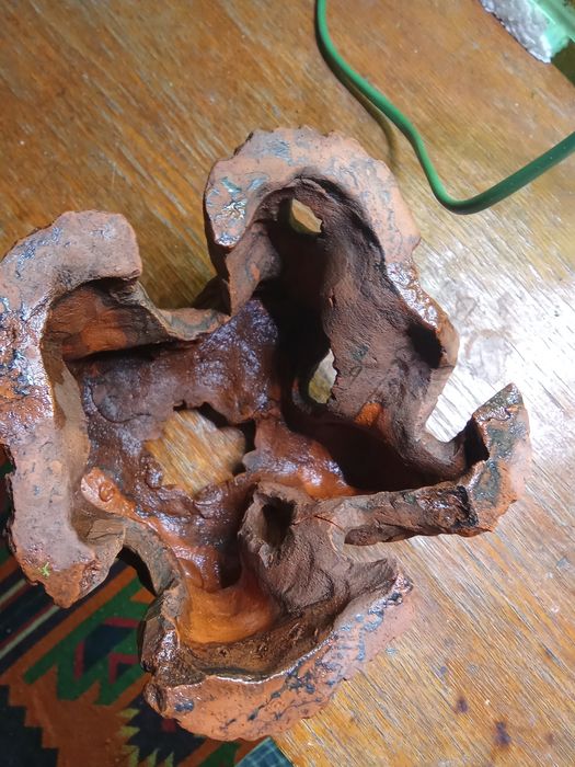 Грот пень-дерево