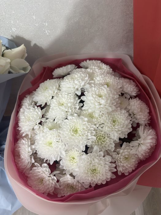 Цветы роза 25 штук