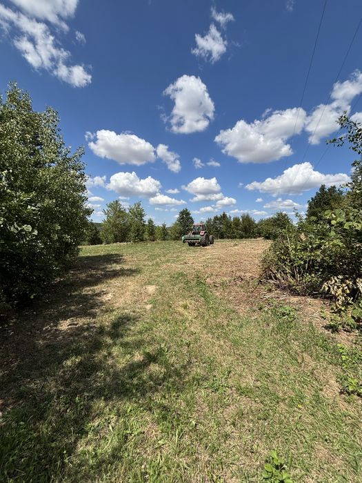 tocat forestier , curatire terenuri cu vegetatie necontrolata