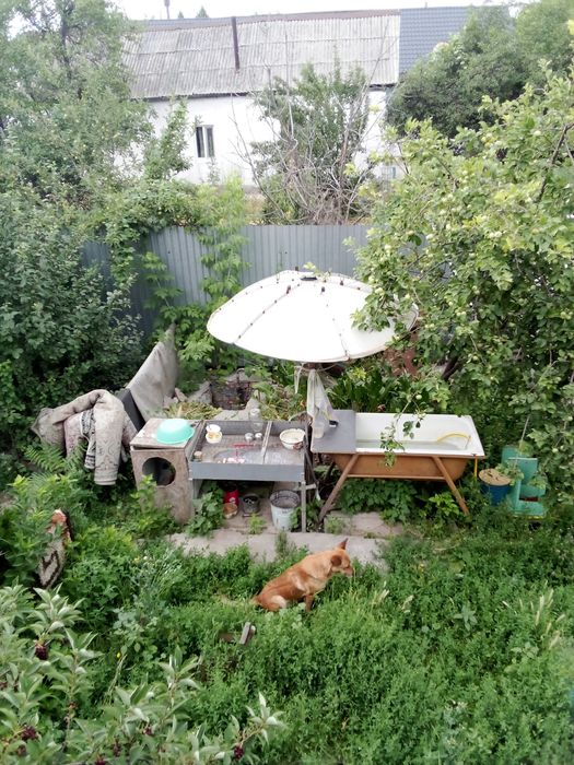 Продам дом в Покровке 23.млн