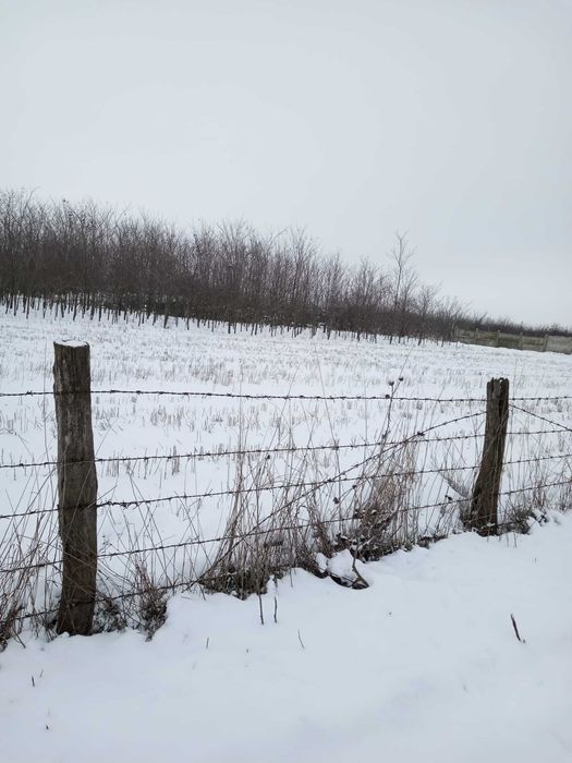 Vand teren intravilan Amarastii de Jos / pretabil afacere