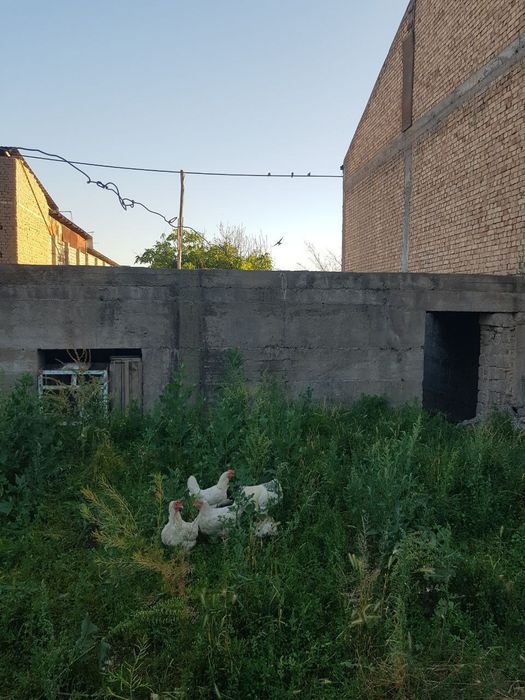 Nazarbekda srochna yer sotiladi