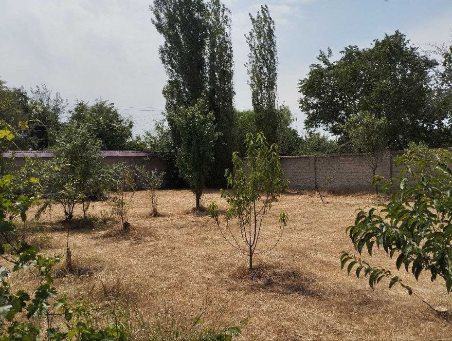 Дала ховли сотилади