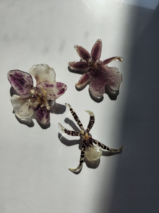 Брошки с естествен цвят на орхидея.