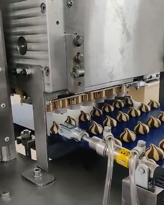 Отсадочная машина для печенья два бункера