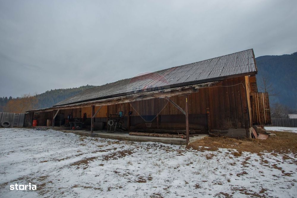 De vanzare| Hala industriala + teren, post trafo propriu, Borca, Neamt