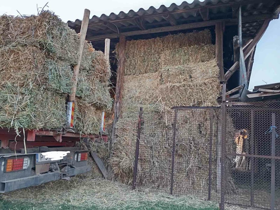 Продавам бали овес и грах
