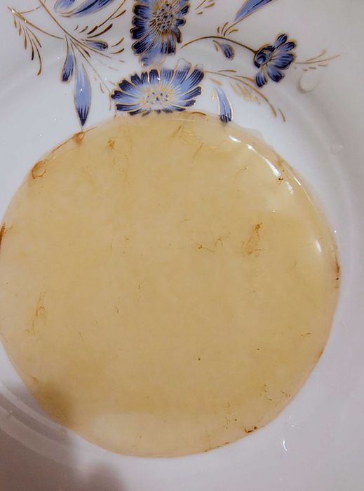 Ciuperca kefir de apa de lapte ciuperca tibetana Kombucha Scooby