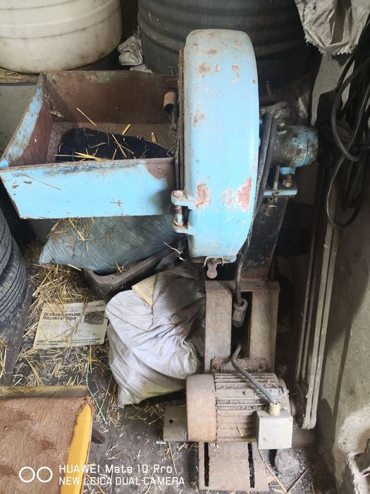 Роначка с чукове