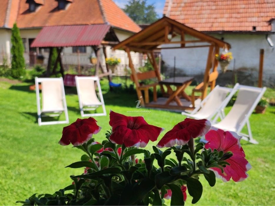 Cazare Moieciu de Jos, Casa Discret