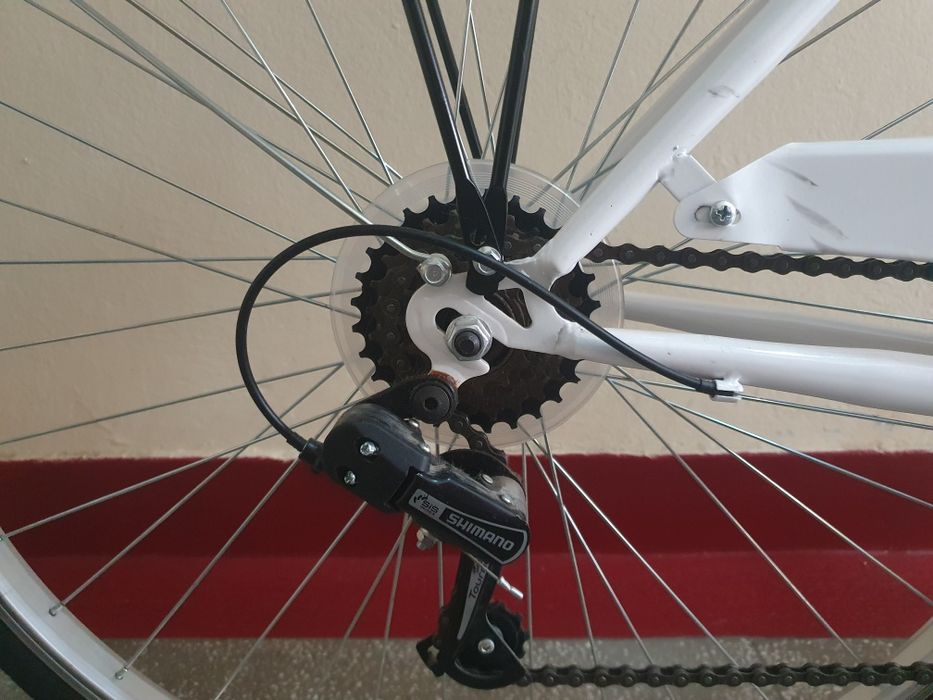 Bicicleta Adriatica 29"