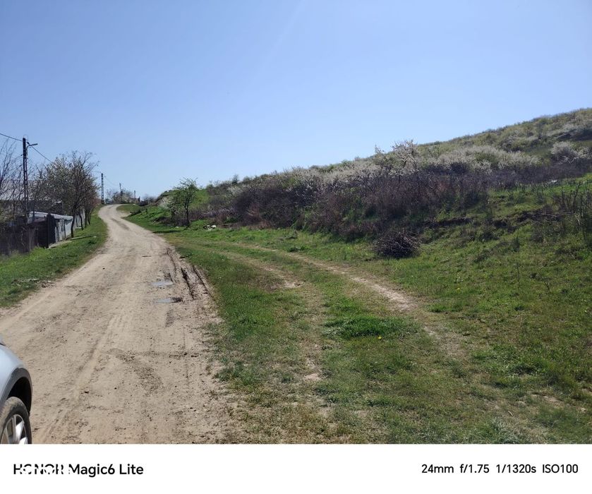 Teren 20 000 mp, deschidere 65 m, Șorogari, Aroneanu, Iasi