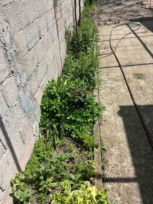 Къща с двор в кв.Болярово,гр.Хасково