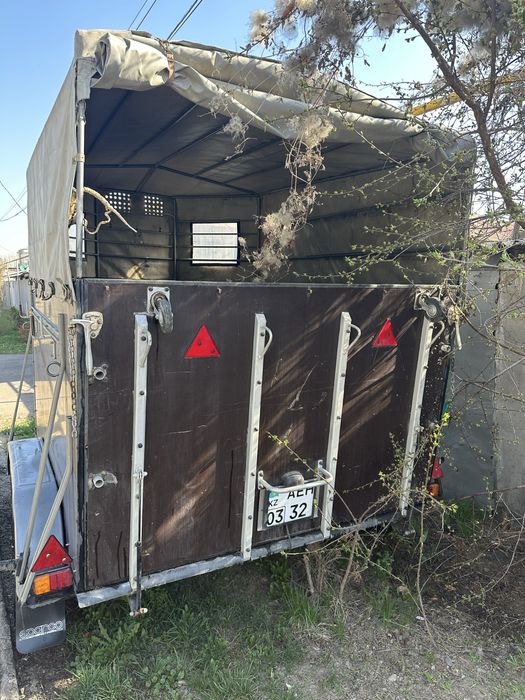 Коневозка для лошадей