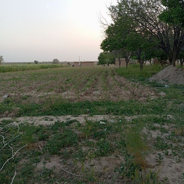 Уй сотилади сорошни кашкадарйо вилояти Нишон туман Абдула Кодирий ма