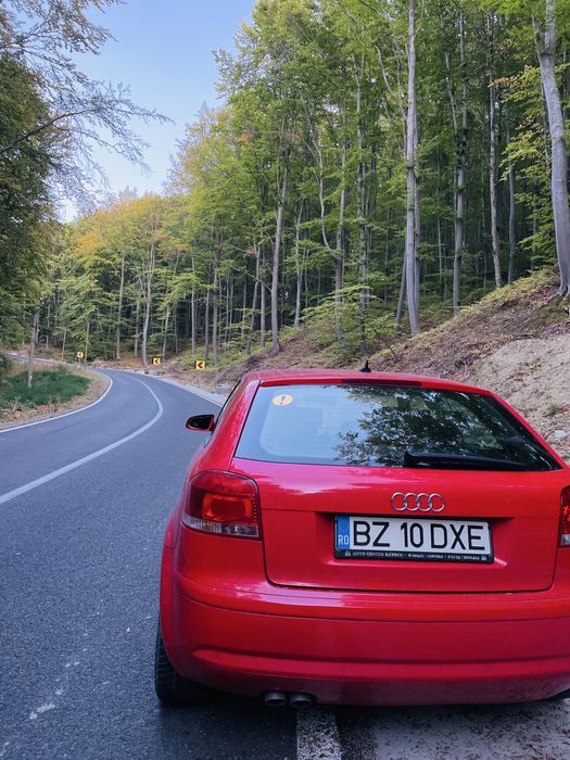 Audi A3 8P 1.9Tdi coupe
