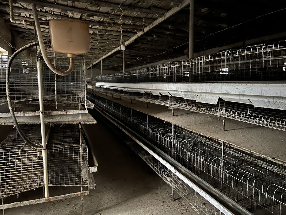 Клетки для кур (несушки)