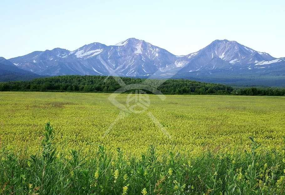 Парцел в с.Брестовица! 97760