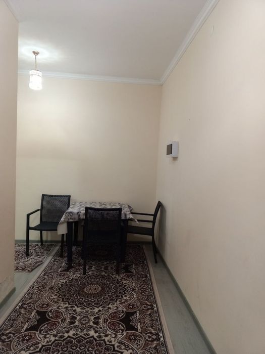 Motrid ijaraga beriladi