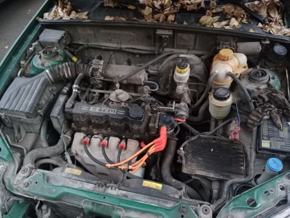 На разбор шанс (шеврале)