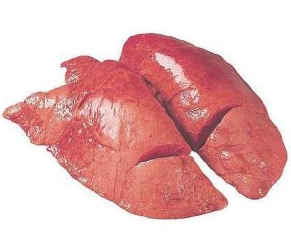 Продам лёгкие конины - 250тг