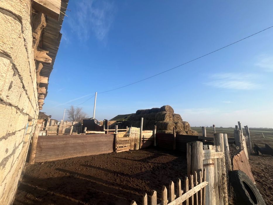 Теректі район Улкен енбек