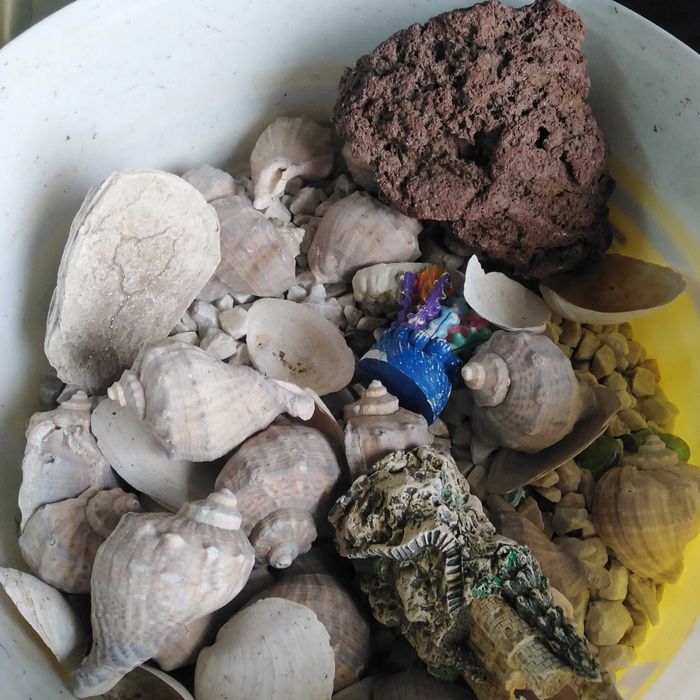 Acvarii pești 120 l și    20 l