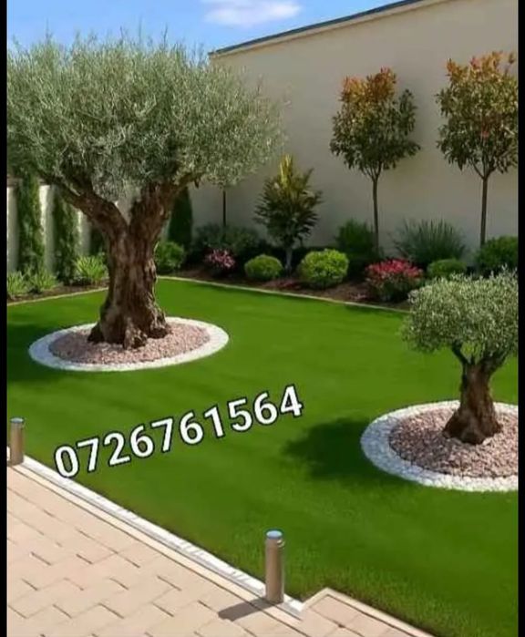 Amenajez spați verzi leyladi tuia