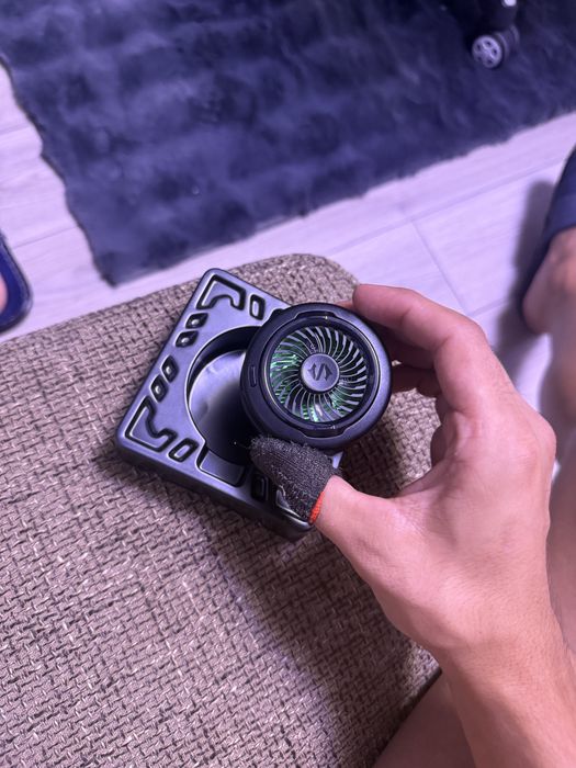 Magnetic shark 6 cooler