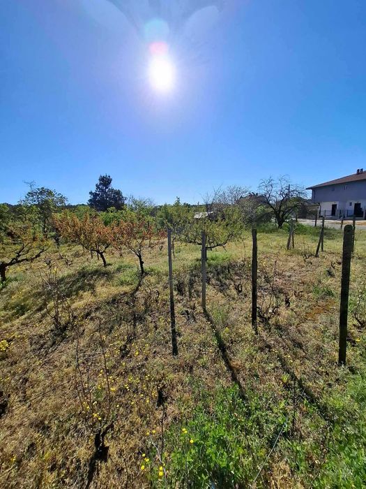 Продава се Парцел в Варна, Автогара - 1040 кв.м за 125 €/кв.м - Снимка #8