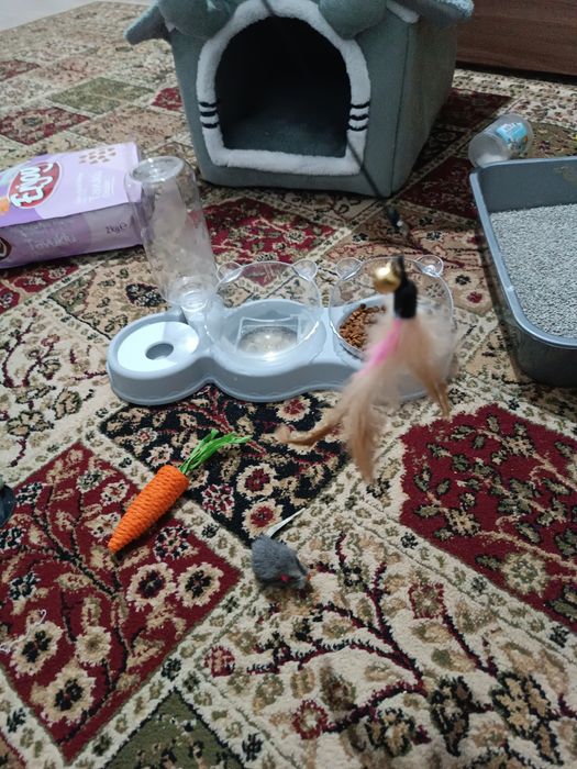 Продам отличный набор для кошки / котёнка.